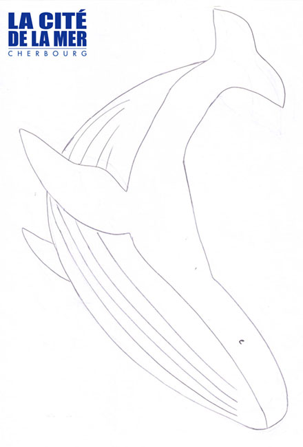 la-cite-de-la-mer_baleine