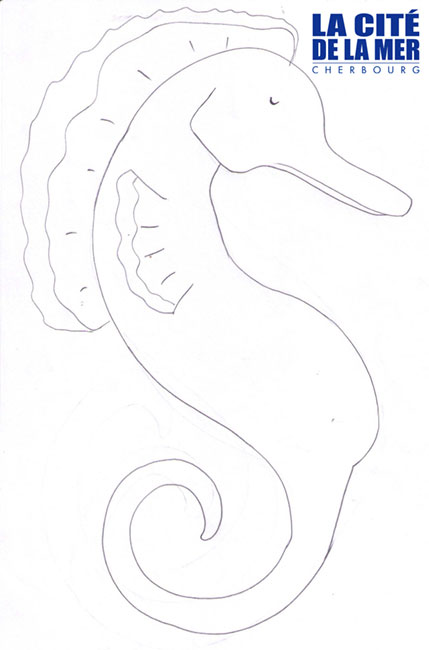 la-cite-de-la-mer_hippocampe