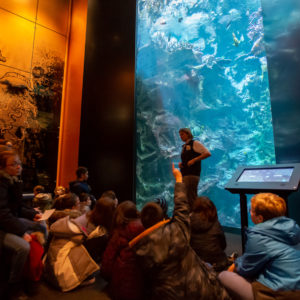 La Cité de la Mer le salon Jules Verne et l'aquarium abyssal