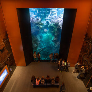L'Aquarium Abyssal : une faille de 10,70m de profondeur au coeur du salon Jules Verne