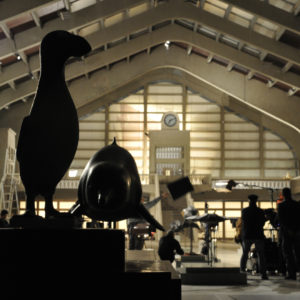 Tournage en cours Océans à La Cité de la Mer