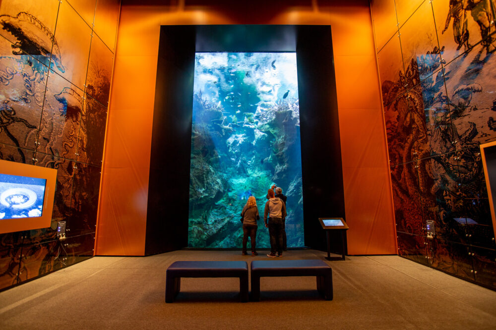 L OCEAN DU FUTUR_ AQUARIUM ABYSSAL © B.Almodovar