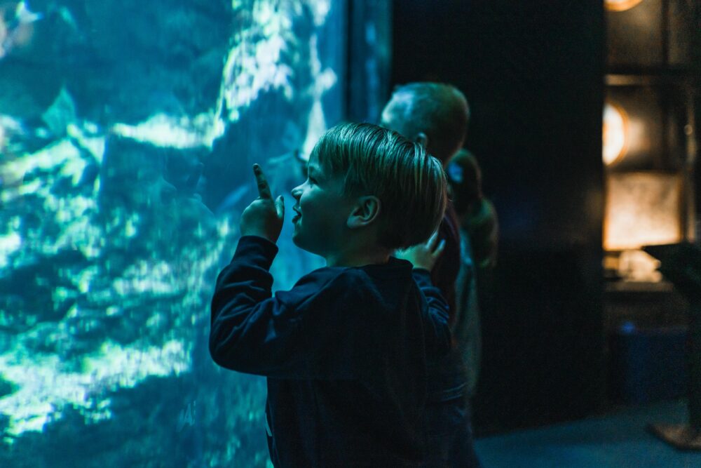Cité de la Mer - Familles & Enfants (©Aymeric Picot)-02074