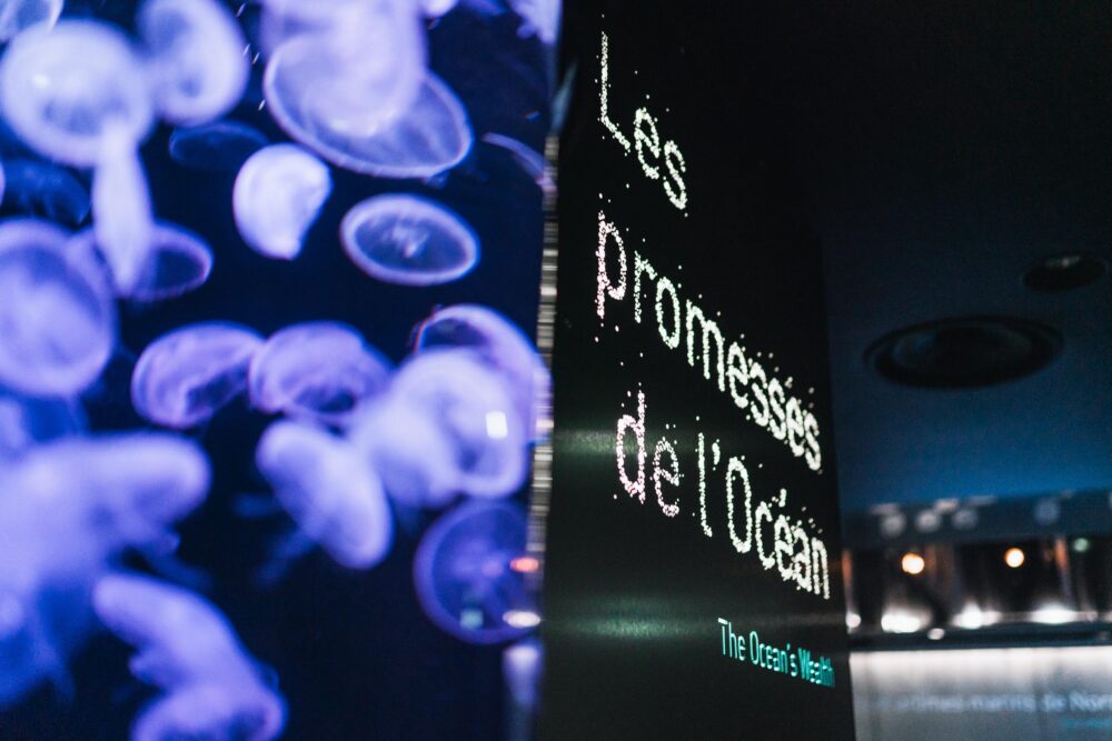 Cité de la Mer - Redoutable et Océan du Futur (©Aymeric Picot)-03305