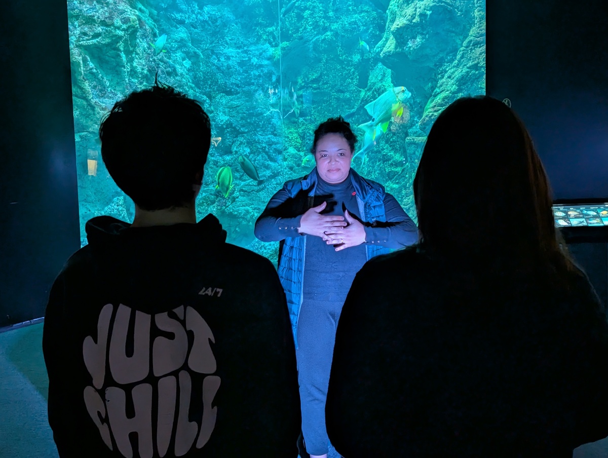 PXL 20260213 150058457.MP