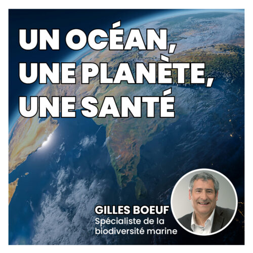 soirée gilles boeuf